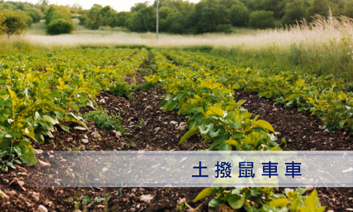01 soil