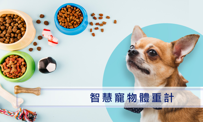 01dog 2