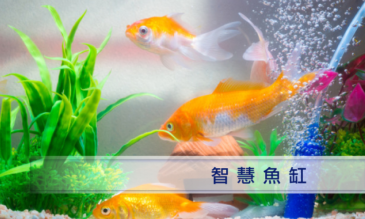 03fish